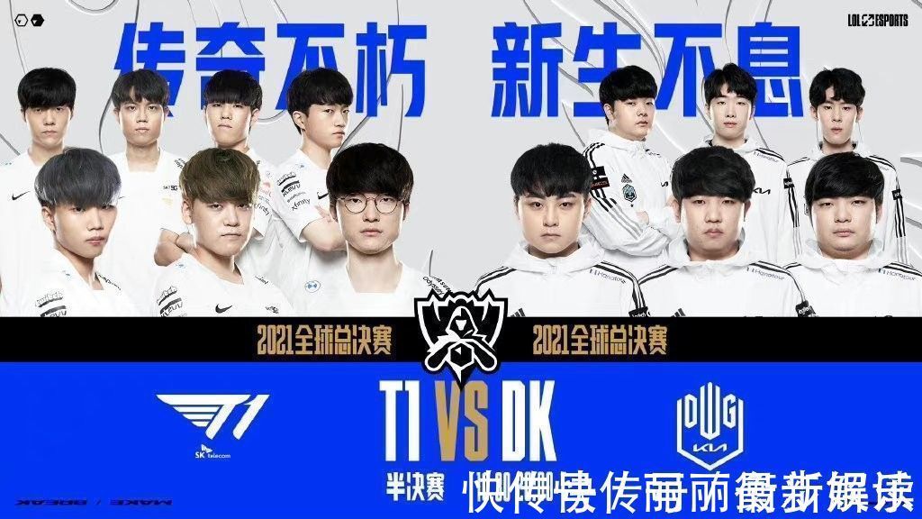 引进梅里诺 引进梅里诺