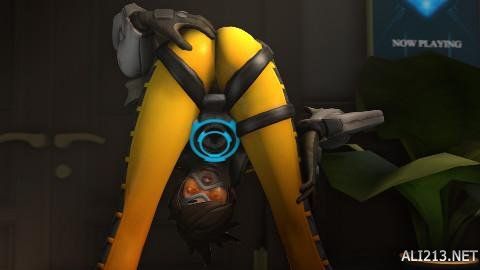 同时也是独 同时也是独