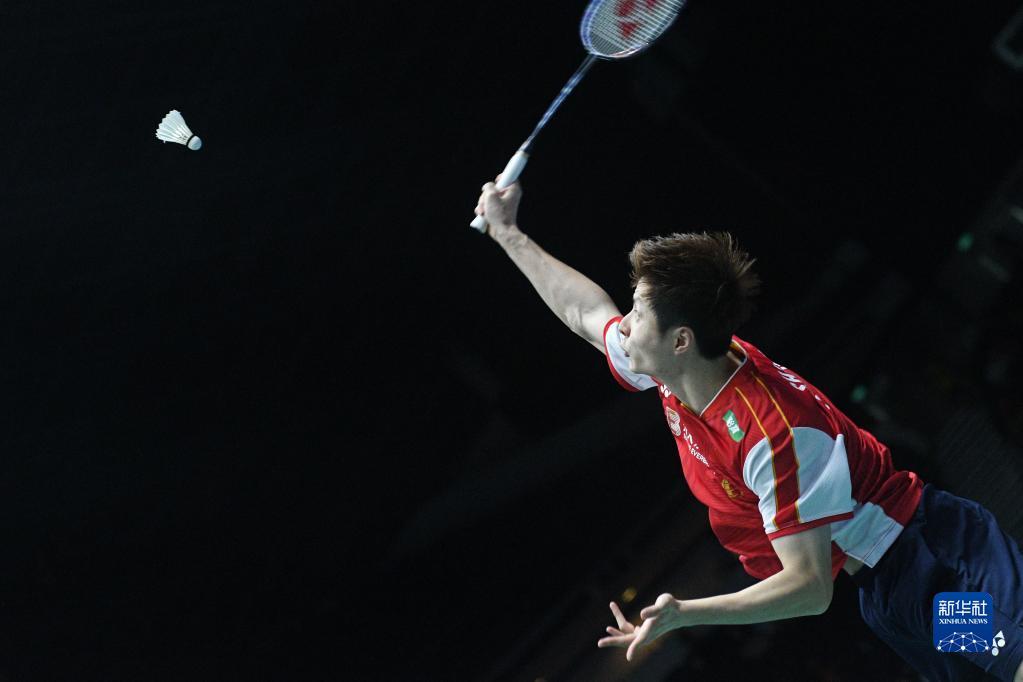 化和多样化 化和多样化